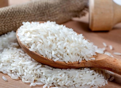 قیمت خرید برنج ندا هاشمی + فروش ویژه